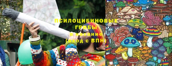 шишки Алзамай