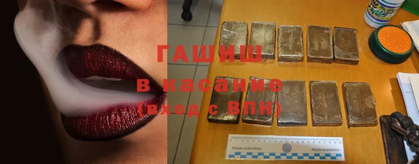 индика Алексин