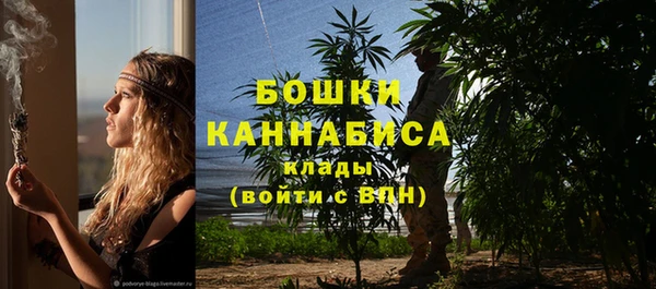 шишки Алзамай