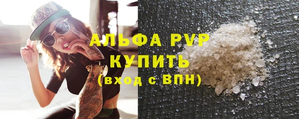 индика Алексин