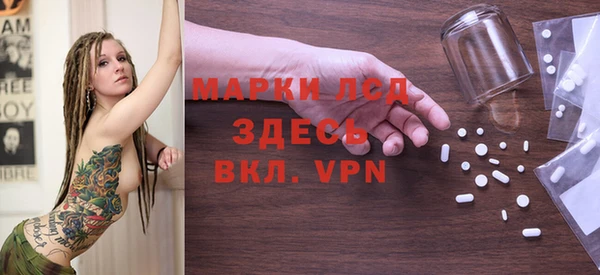 индика Алексин